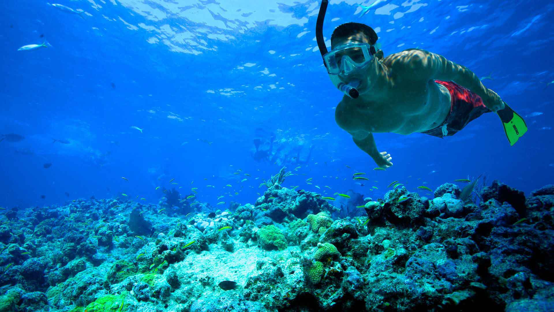 Riviera Maya. Encuentra lo que estabas buscando