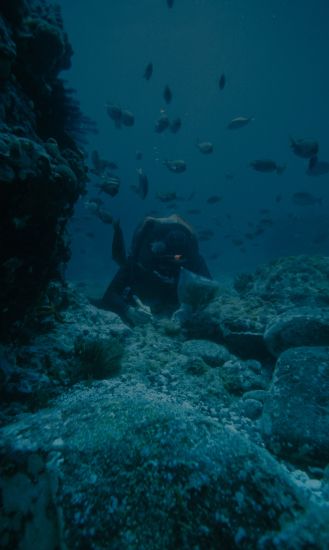 Buceo en Playa del Carmen