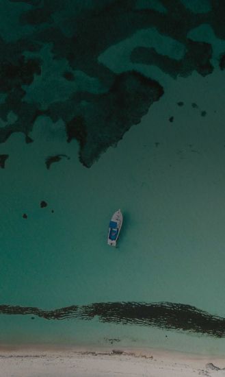 Excursión a Isla Mujeres con snorkel