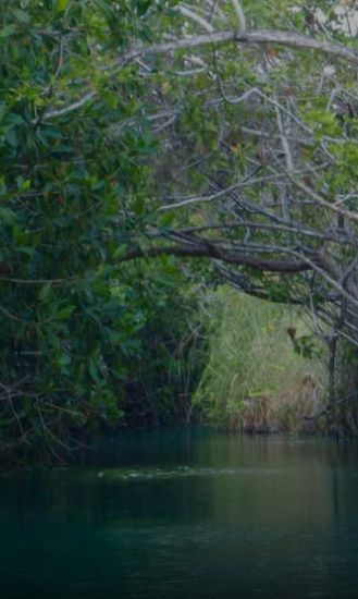Excursión a los Canales de Muyil y Sian Ka'an
