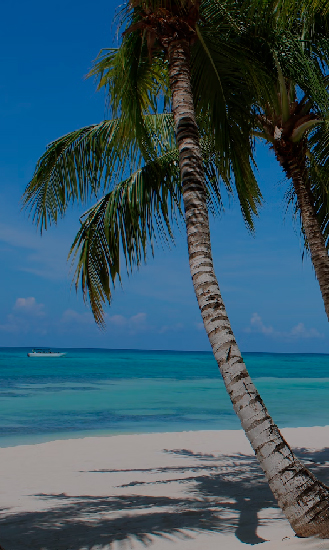 Excursión a Isla Catalina con snorkel