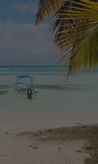 Alquiler de yate o lancha privada Isla Saona