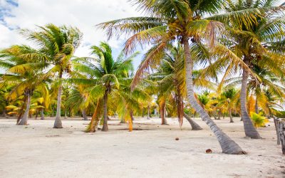 ¿Cuál es la forma más sencilla para llegar a Holbox?