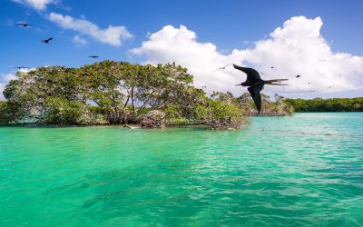 ¿Cuántos días ir a la Riviera Maya? Organiza el mejor itinerario para conocer el Caribe mexicano