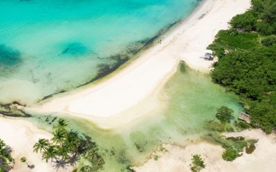 ¿Qué hay y cuándo ir a la Quinta Avenida en Playa del Carmen?