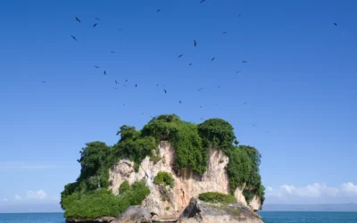 Qué es el Parque Nacional los Haitises, dónde está y cómo visitarlo