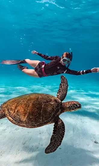 Tour Snorkel con tortugas en Akumal + cenotes