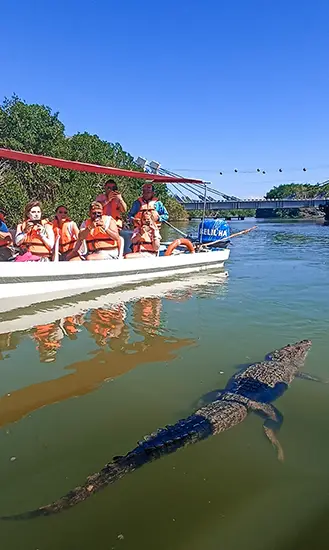 Tour Las Coloradas y Rio Lagartos